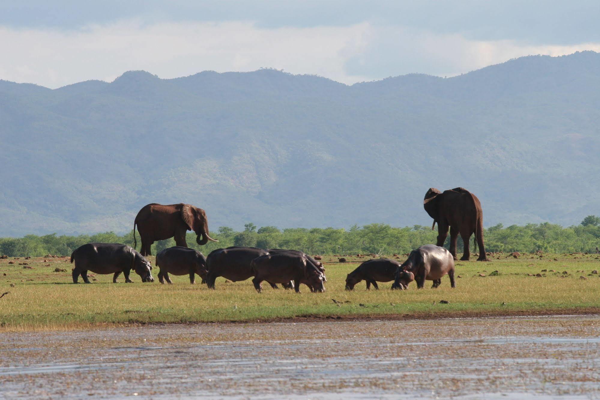 Changa Safari Camp Matusadona National Park ภายนอก รูปภาพ